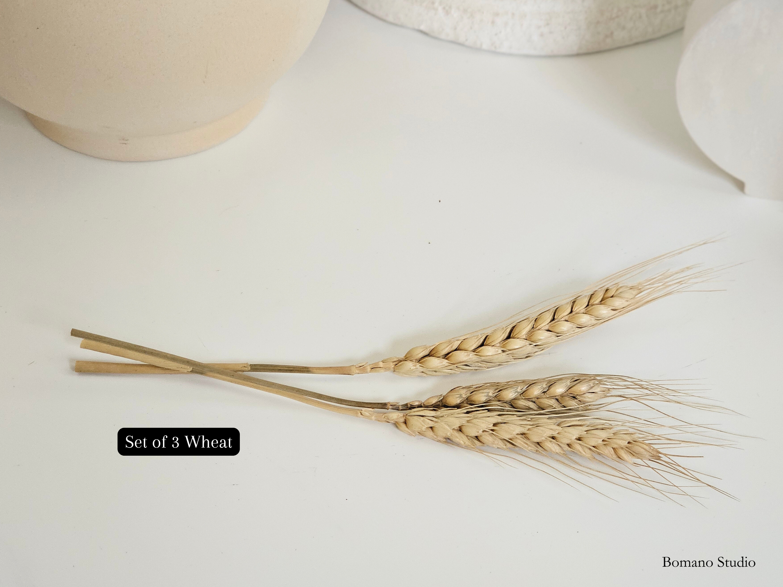 Moon Jar Inspired bud vase